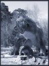 animals_240x320_moblo (33)