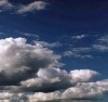 SKY009