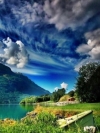 view-2033