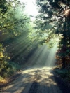light-at-the-end-of-the-road