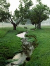 leipers-fork-tennessee