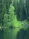 img-bade7