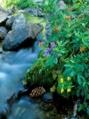 img-192cx