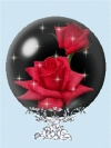 Love 23