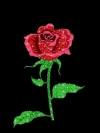 Love 25