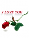 Love 28