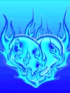 Neon (5)