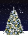 New Year (6)