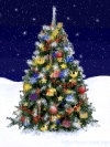 New Year (7)