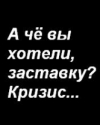 20078