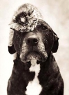 24d