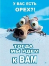 У вас есть орех!?