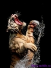 Tiger1