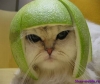 Гы