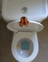 Унитаз