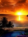 photo_04