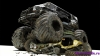 Car Game (2)