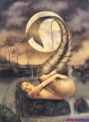 Фентази__nymphs