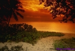 природа