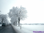 природа