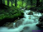природа