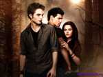 kinogallery.com_New-Moon_Wall_3_800[1]