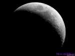 vetton_ru_125