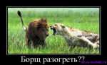 Borh