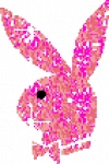 playboy