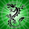 DRAGON (12)