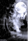 sadgirlintherain1om3pm3ut7