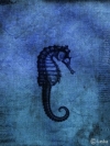 2b8ca2fef8aa3e2d981fbb866e80c52b