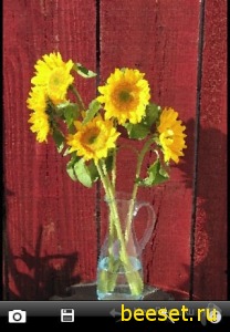 PhotoWizard 1.1