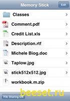 Memory Stick