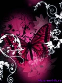 Butterfly_Abstract