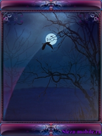 lonelynight