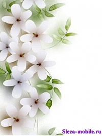 whitee