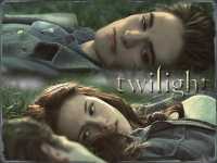 Twilight The Movie Game RUS 240x320 (s40)