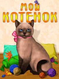 Мой котёнок
