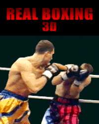 RealBoxing3Dk500700.jar