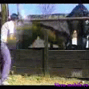 horsekick