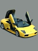 Lamborgini