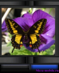 Nature01